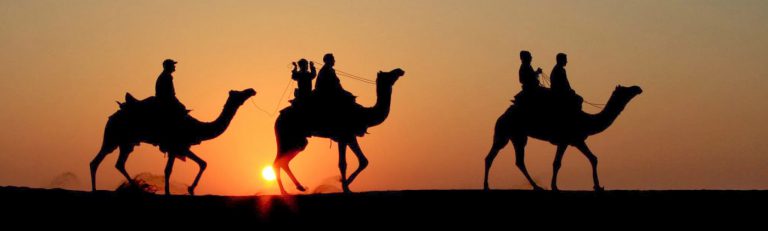 Heritage Camel Safari